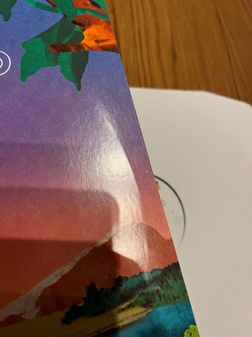 秋*様 EUTOPIA / STUTS アナログレコード 2LP