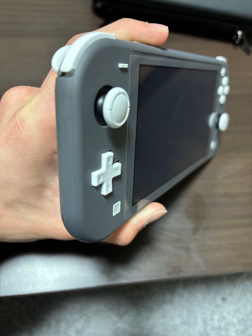 Nintendo Switch Lite グレー 本体と充電器付き