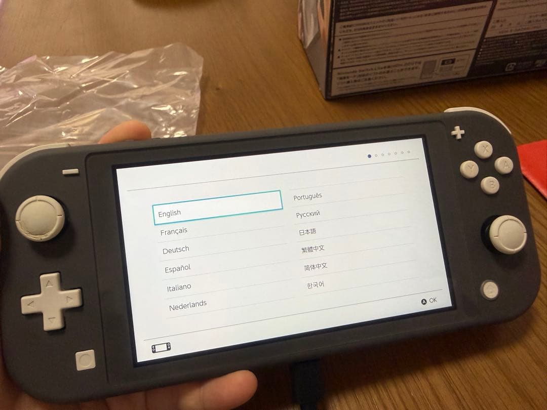 Nintendo Switch Lite グレー 付属品あり