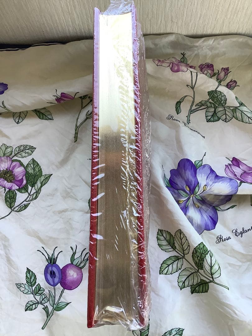 The Sea Wolf Jack London シーウルフ ジャック・ロンドン