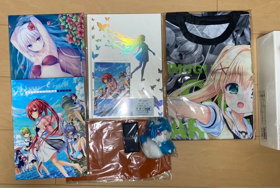 Summer Pockets REFLECTION BLUE 豪華限定版