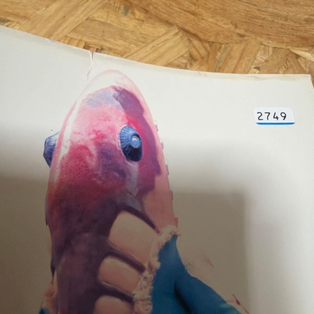 全12巻 ウルトラセブン DVD レンタル落ち