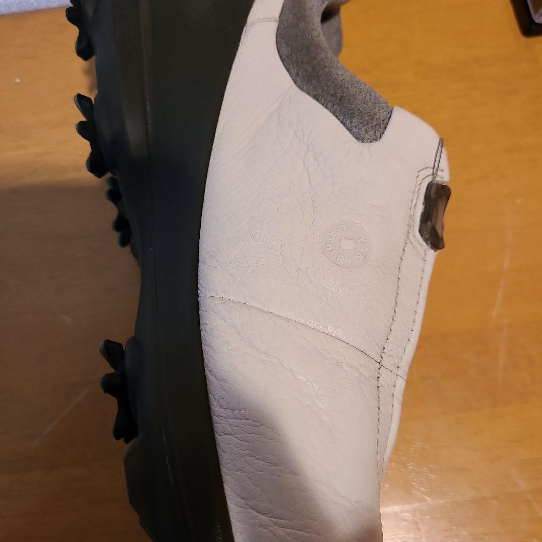 Ecco ゴルフシューズ BOAダイヤル　バイオムG3