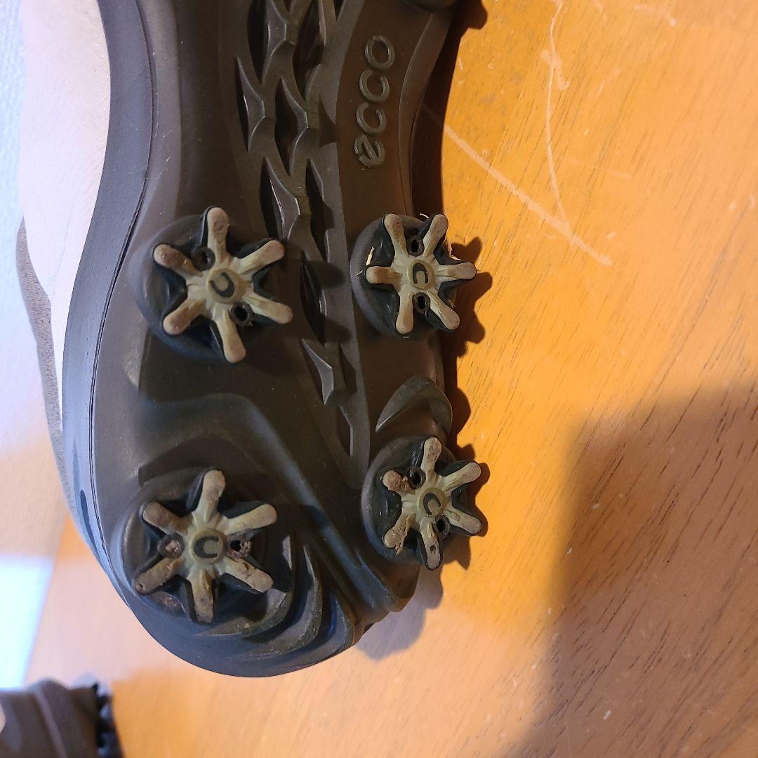 Ecco ゴルフシューズ BOAダイヤル　バイオムG3