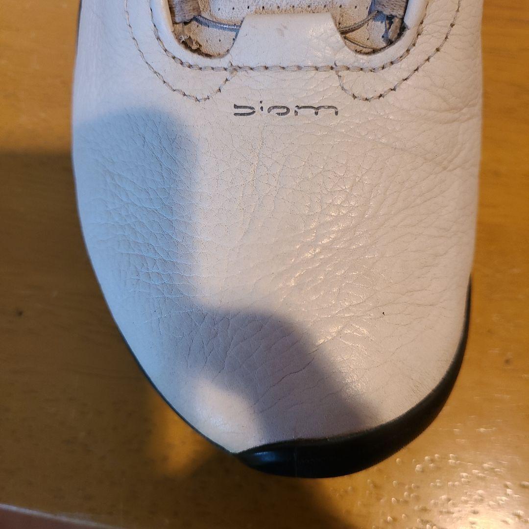 Ecco ゴルフシューズ BOAダイヤル　バイオムG3