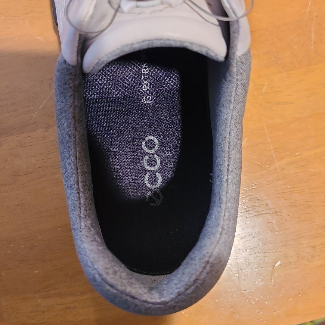 Ecco ゴルフシューズ BOAダイヤル　バイオムG3