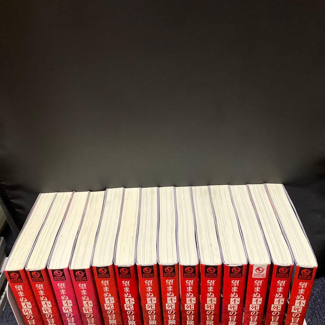 望まぬ不死の冒険者 丘野優 全14巻 小説 セット 原作