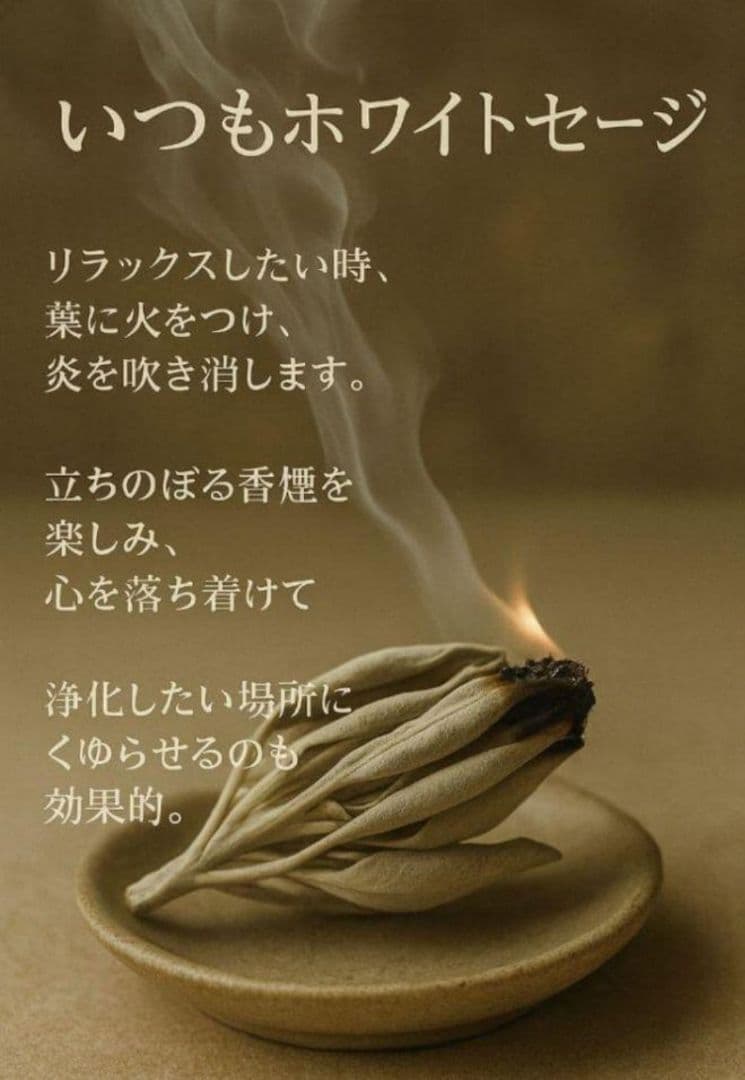 激安価格☆無農薬ホワイトセージリーフ1kg業務用価額お得