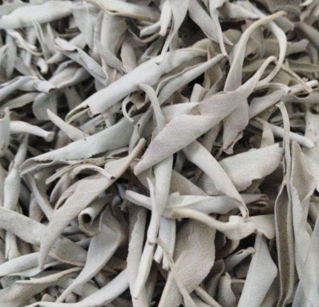 激安価格☆無農薬ホワイトセージリーフ1kg業務用価額お得