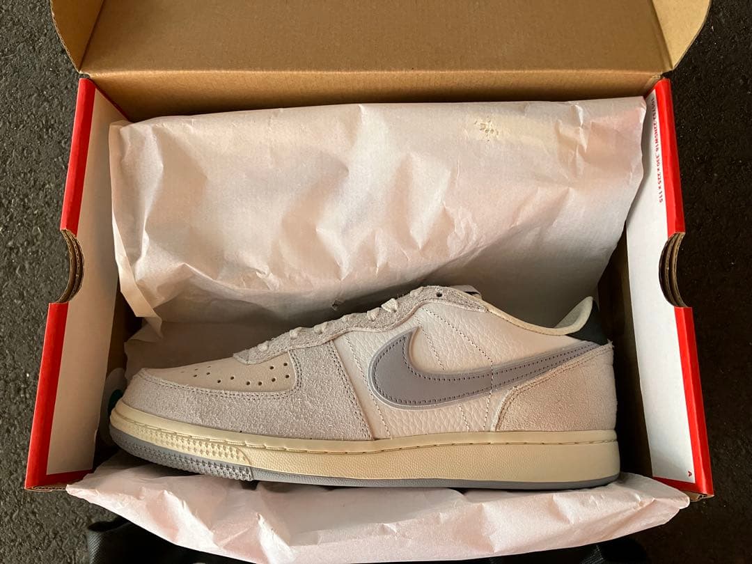 シューズ(男性用) NIKE Terminator Low Paris Liberte 29 11