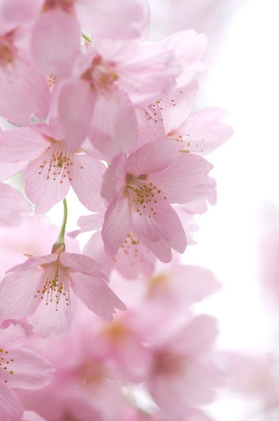 三浦春馬さん 直筆サイン