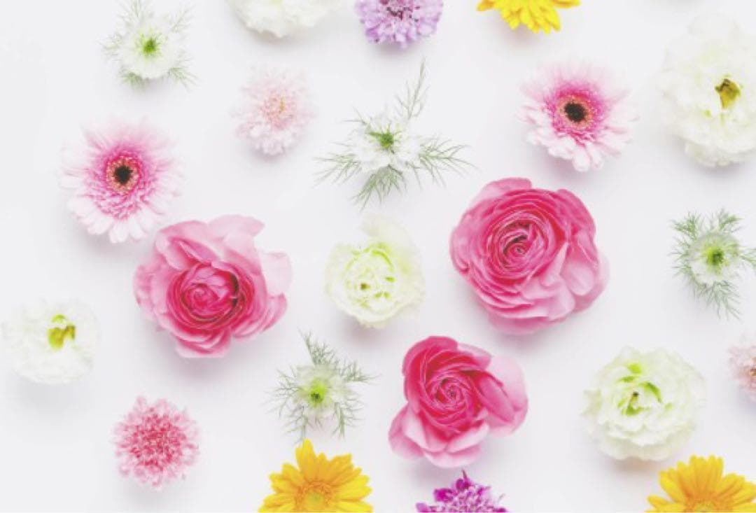 ２台 リファレイ