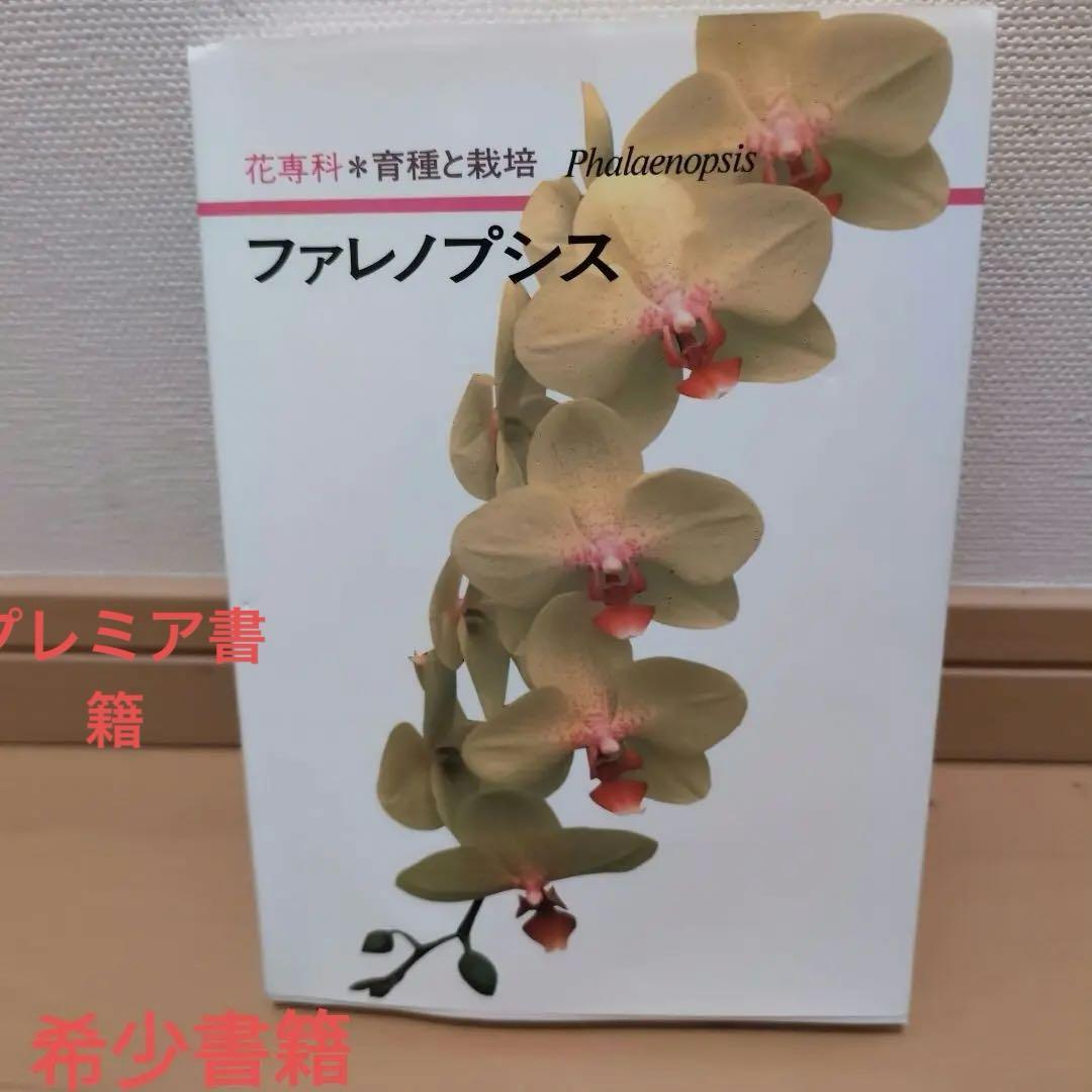 【レア】ファレノプシス （花専科・育種と栽培） 市橋正一／編著