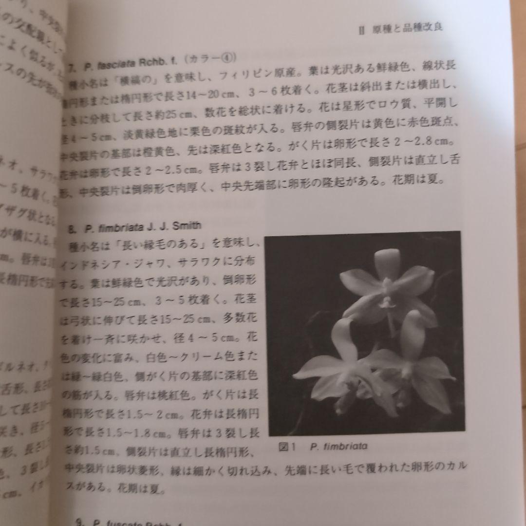 【レア】ファレノプシス （花専科・育種と栽培） 市橋正一／編著