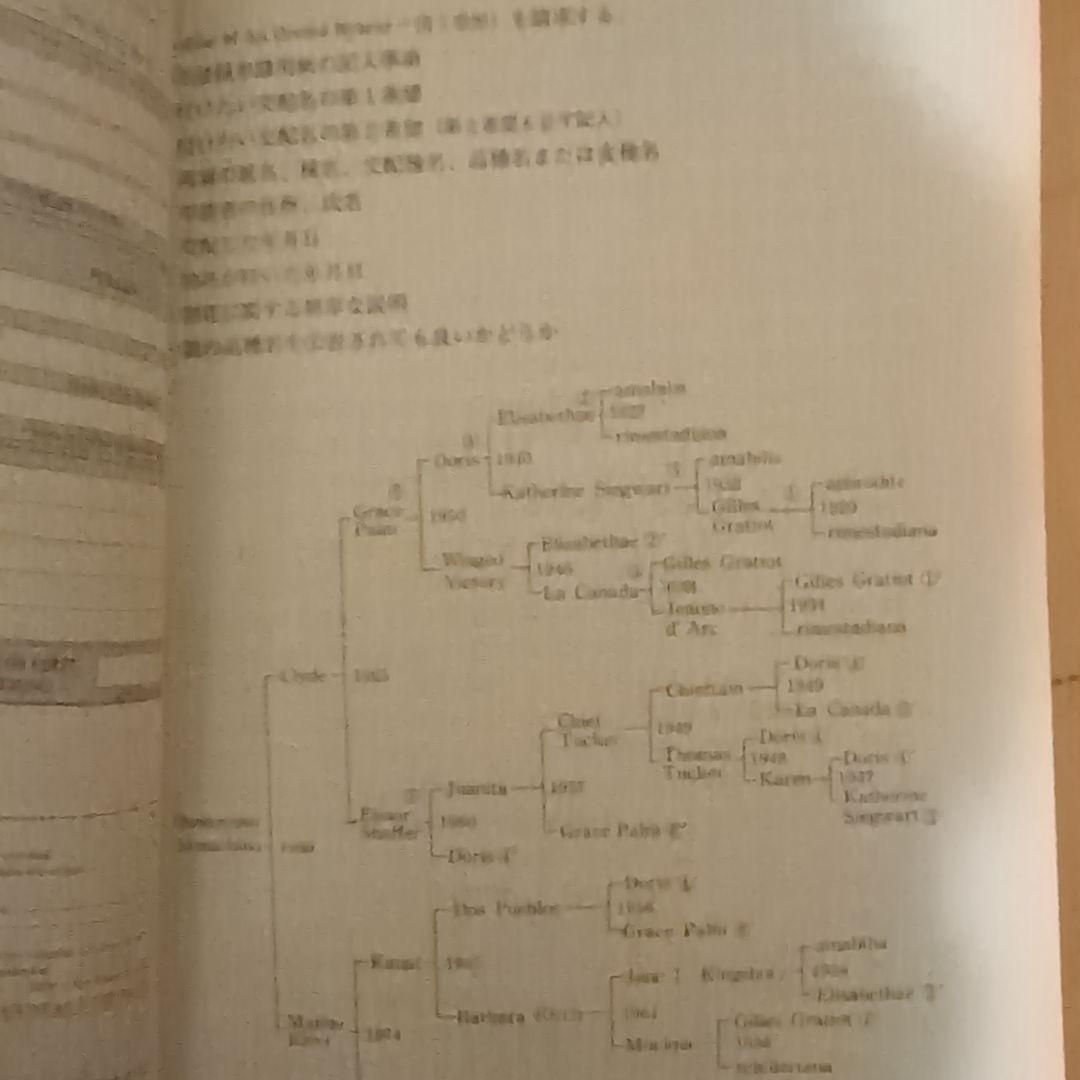 【レア】ファレノプシス （花専科・育種と栽培） 市橋正一／編著