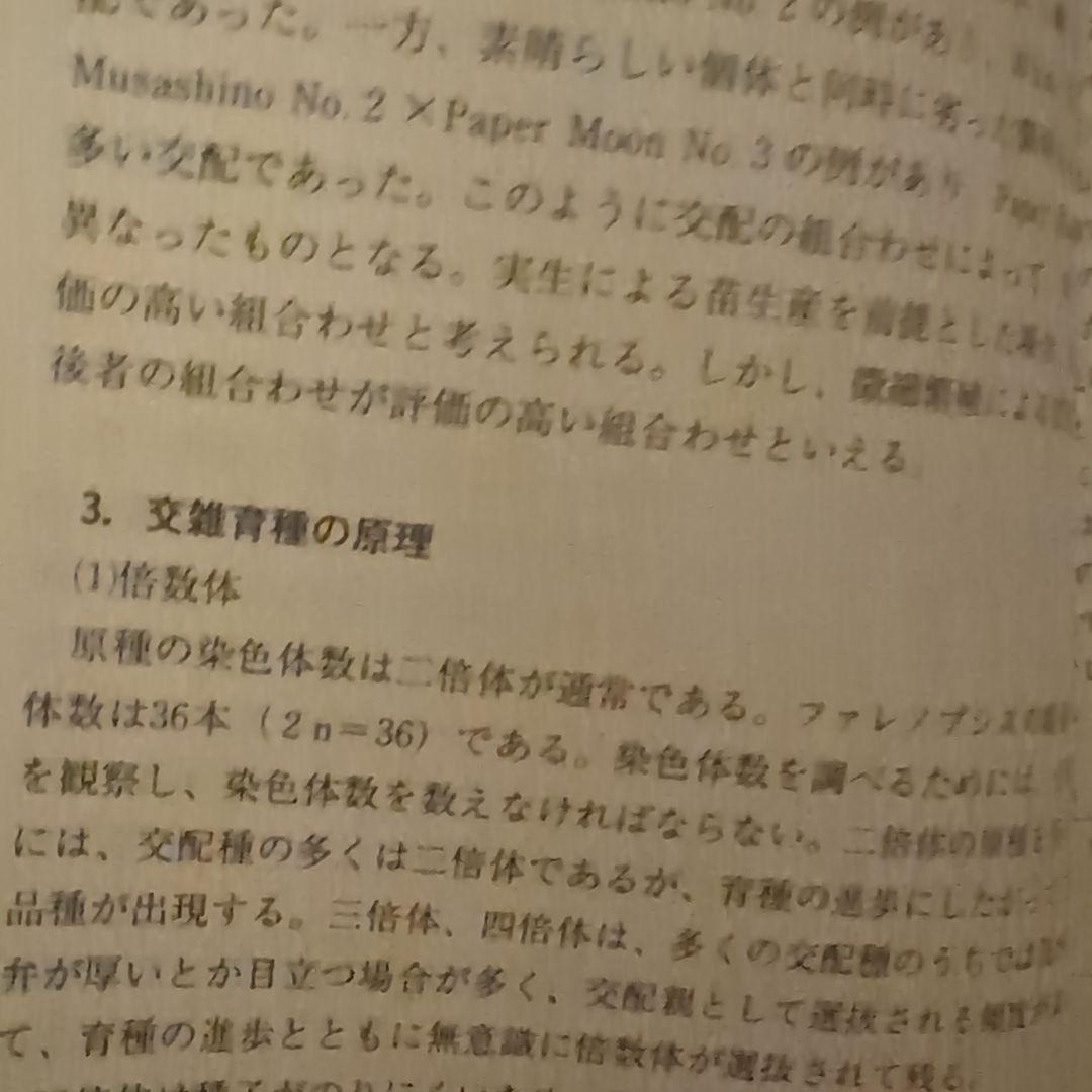 【レア】ファレノプシス （花専科・育種と栽培） 市橋正一／編著