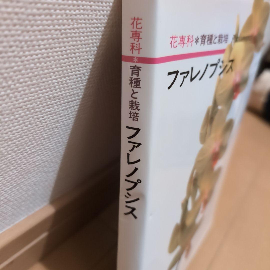 【レア】ファレノプシス （花専科・育種と栽培） 市橋正一／編著