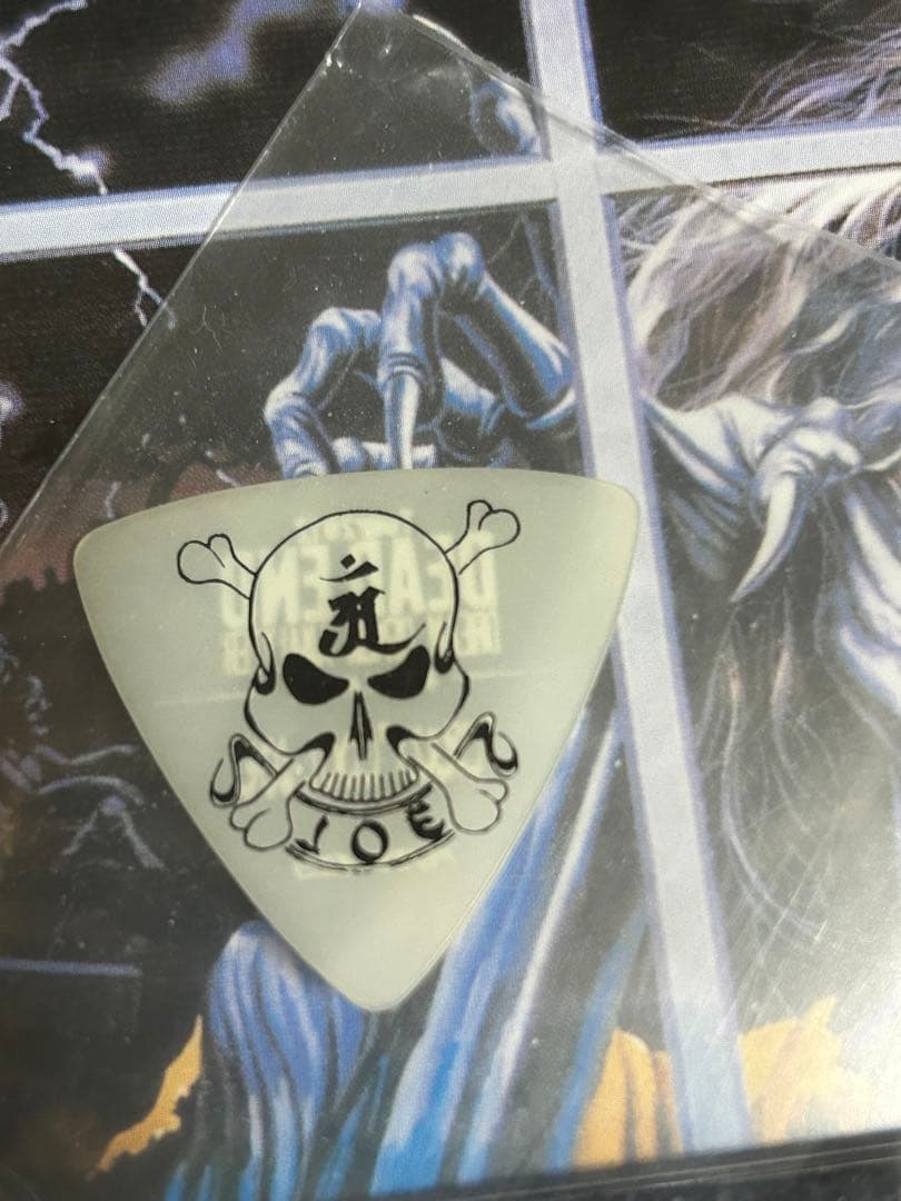 CD DVD DEAD END クールジョー本人使用済みピック付き