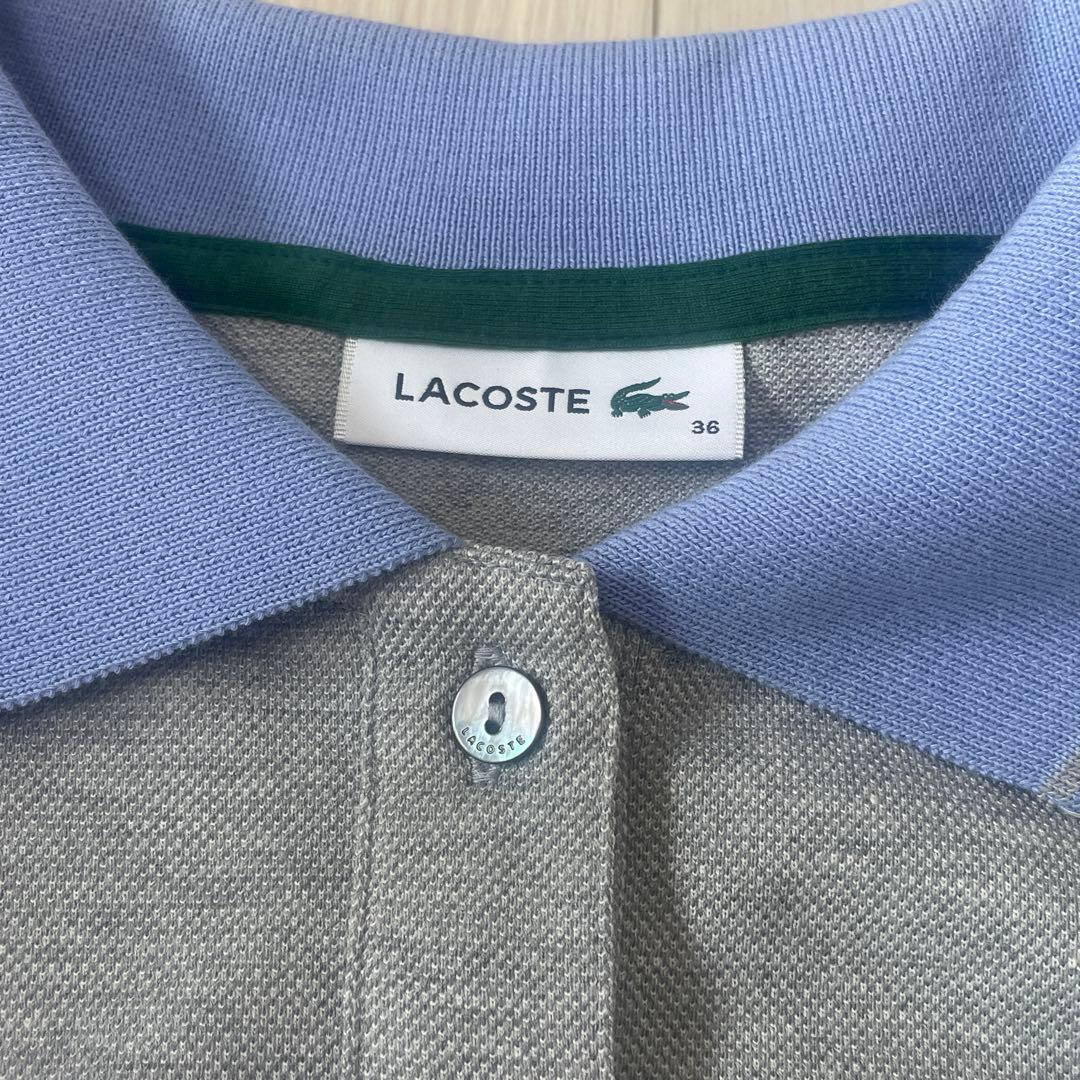 ILLIT LACOSTE アイリット　ラコステ　クロップドポロ