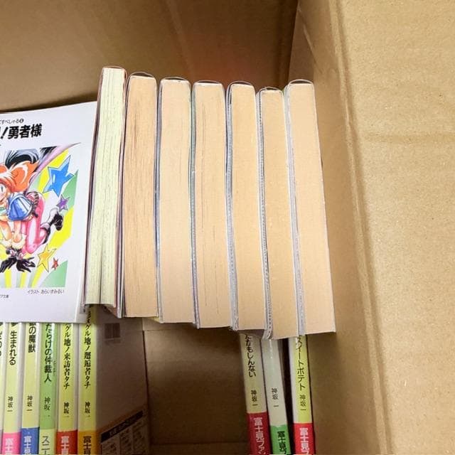 【まとめ売り】神坂一 文庫 79冊 スレイヤーズ シリーズ 地底王国の脅威 他