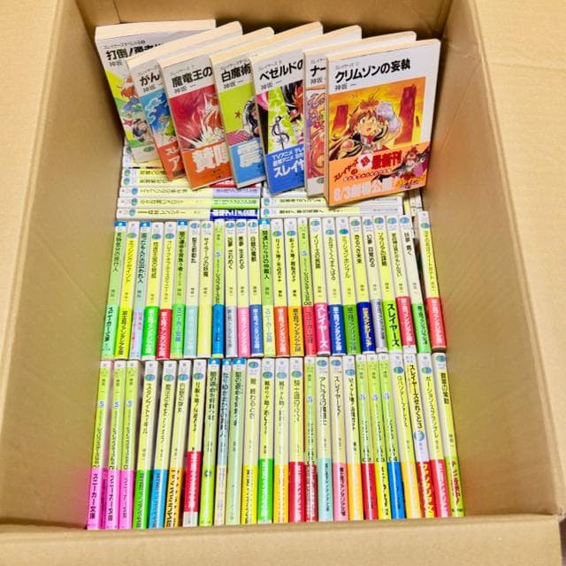 【まとめ売り】神坂一 文庫 79冊 スレイヤーズ シリーズ 地底王国の脅威 他