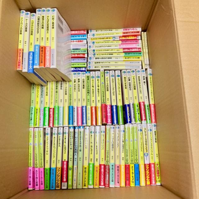 【まとめ売り】神坂一 文庫 79冊 スレイヤーズ シリーズ 地底王国の脅威 他