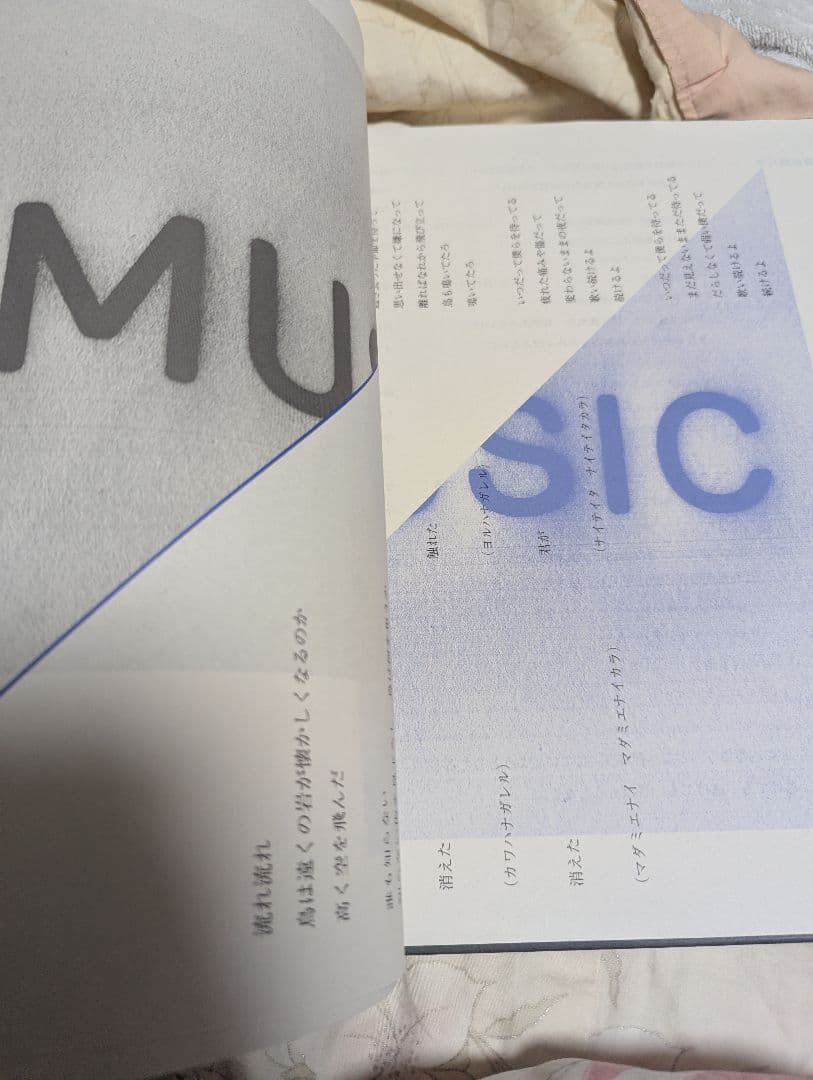 美品　サカナクション　レコード　外袋　ブックレット