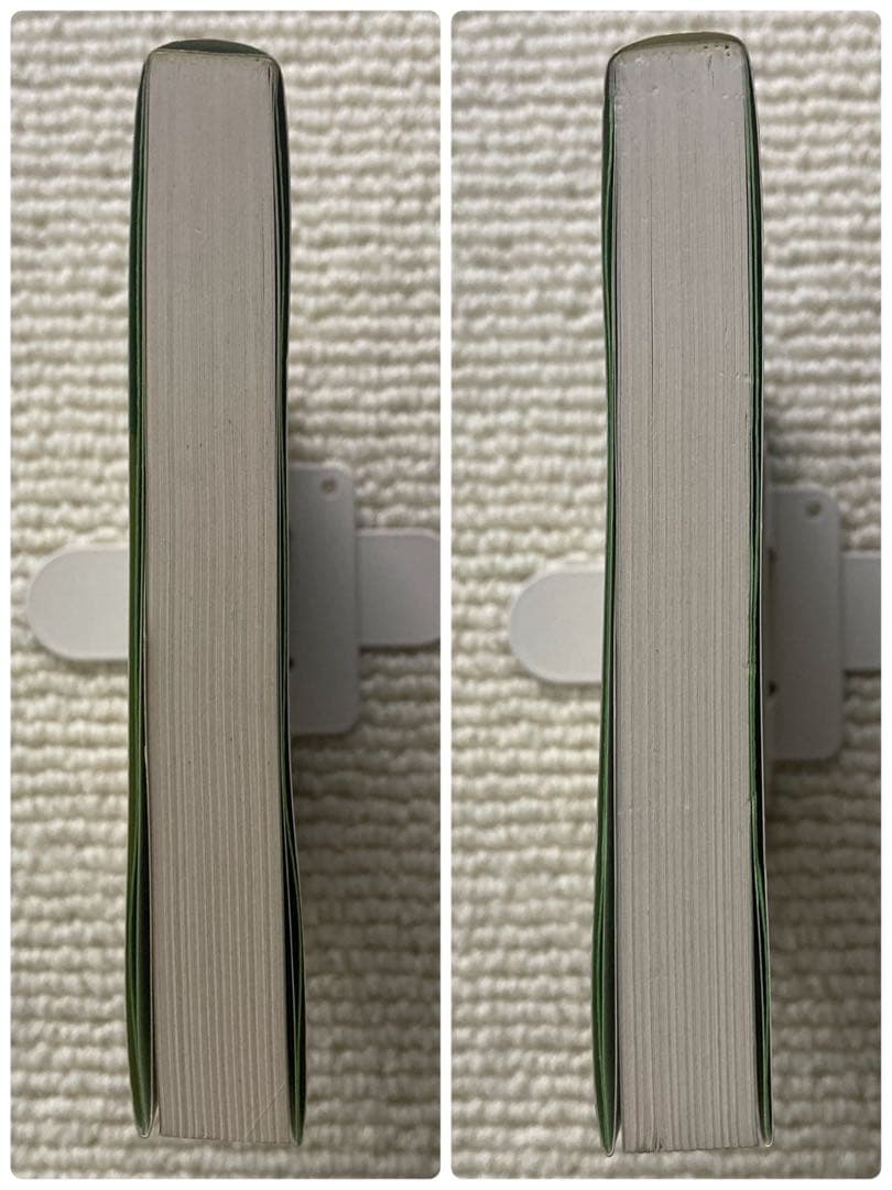 いま全力 野球人生40年から/岡本伊三美