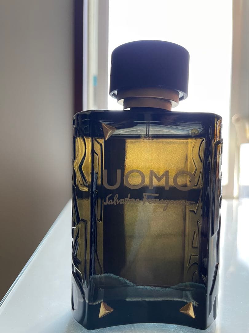 SALVATORE FERRAGAMO ウオモ オードトワレ 100ml