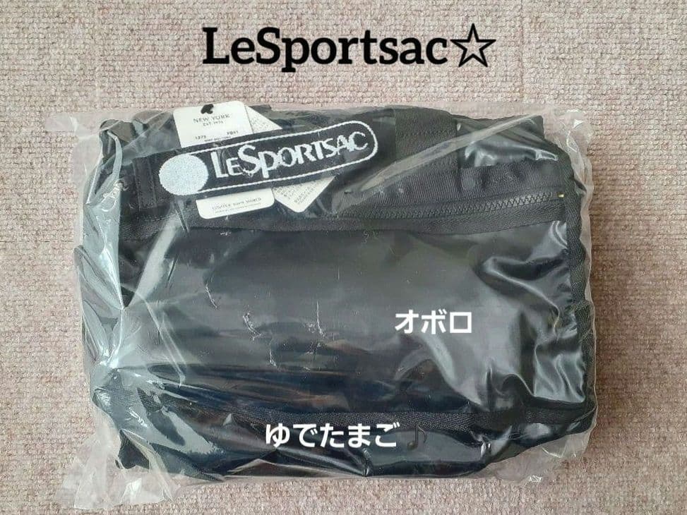 《完売》ひとりっぷ®️×LeSportsac　BIKE BOSTON2　オボロ