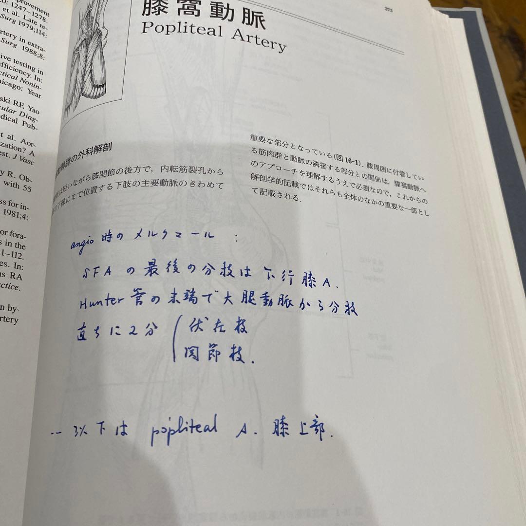 重要血管へのアプローチ