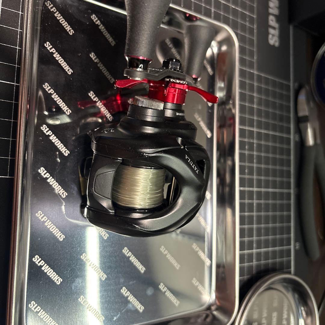 ダイワ 24タトゥーラ TW100HL