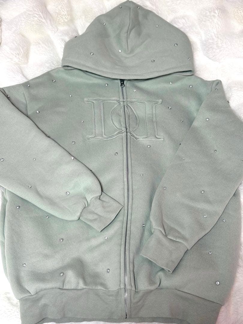 Darich DDロゴビジュージップパーカー　MNT