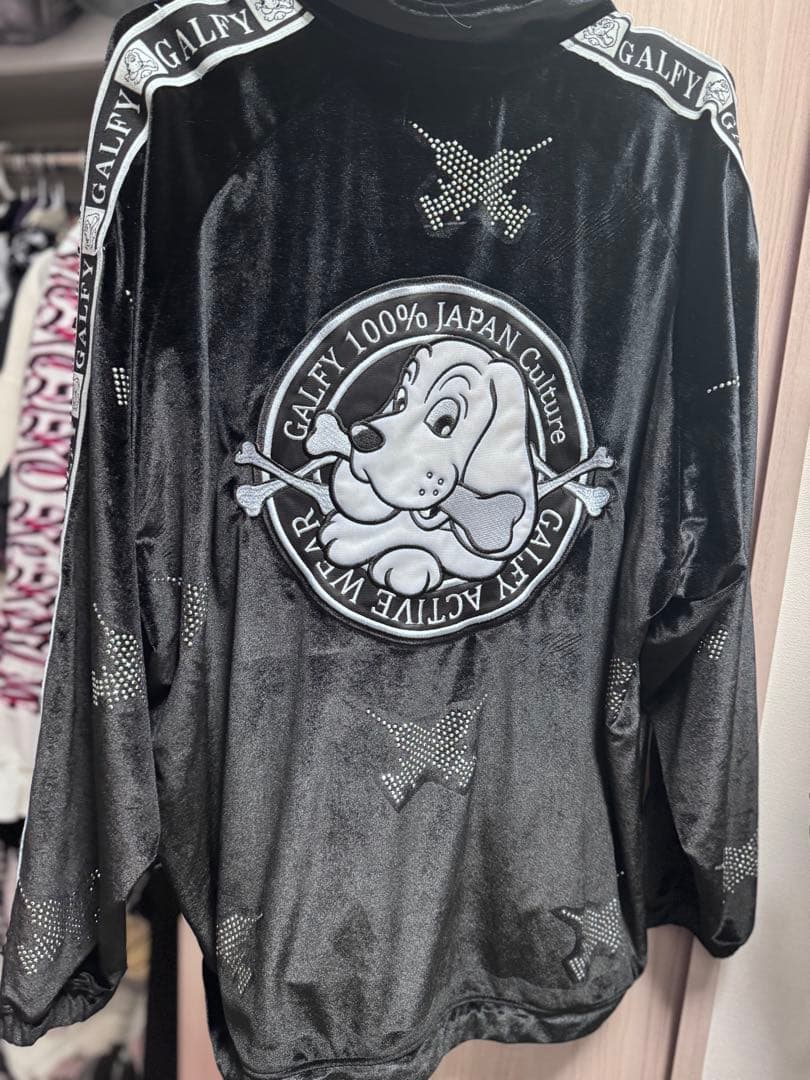 ガルフィー セットアップ ピカピカ注射器 ブラック