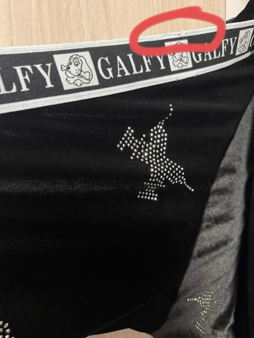 ガルフィー セットアップ ピカピカ注射器 ブラック