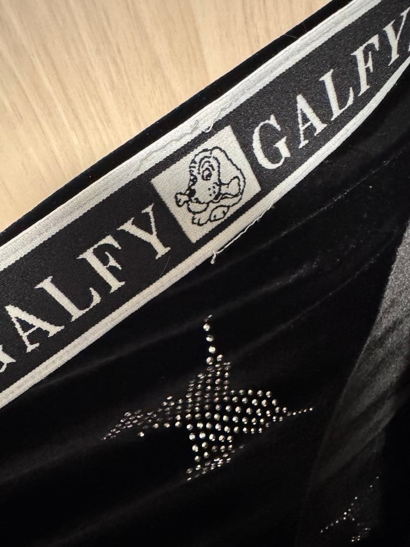 ガルフィー セットアップ ピカピカ注射器 ブラック