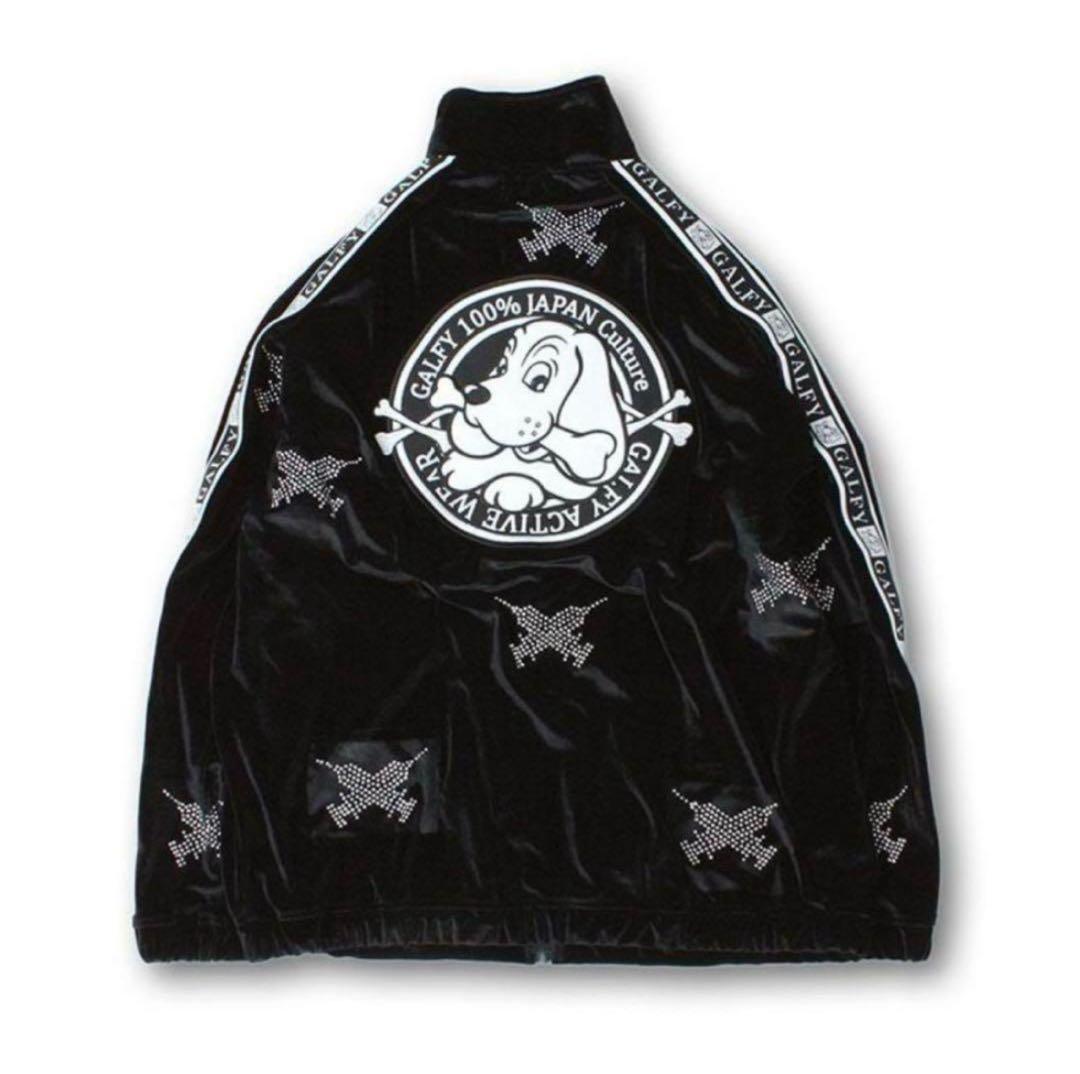 ガルフィー セットアップ ピカピカ注射器 ブラック