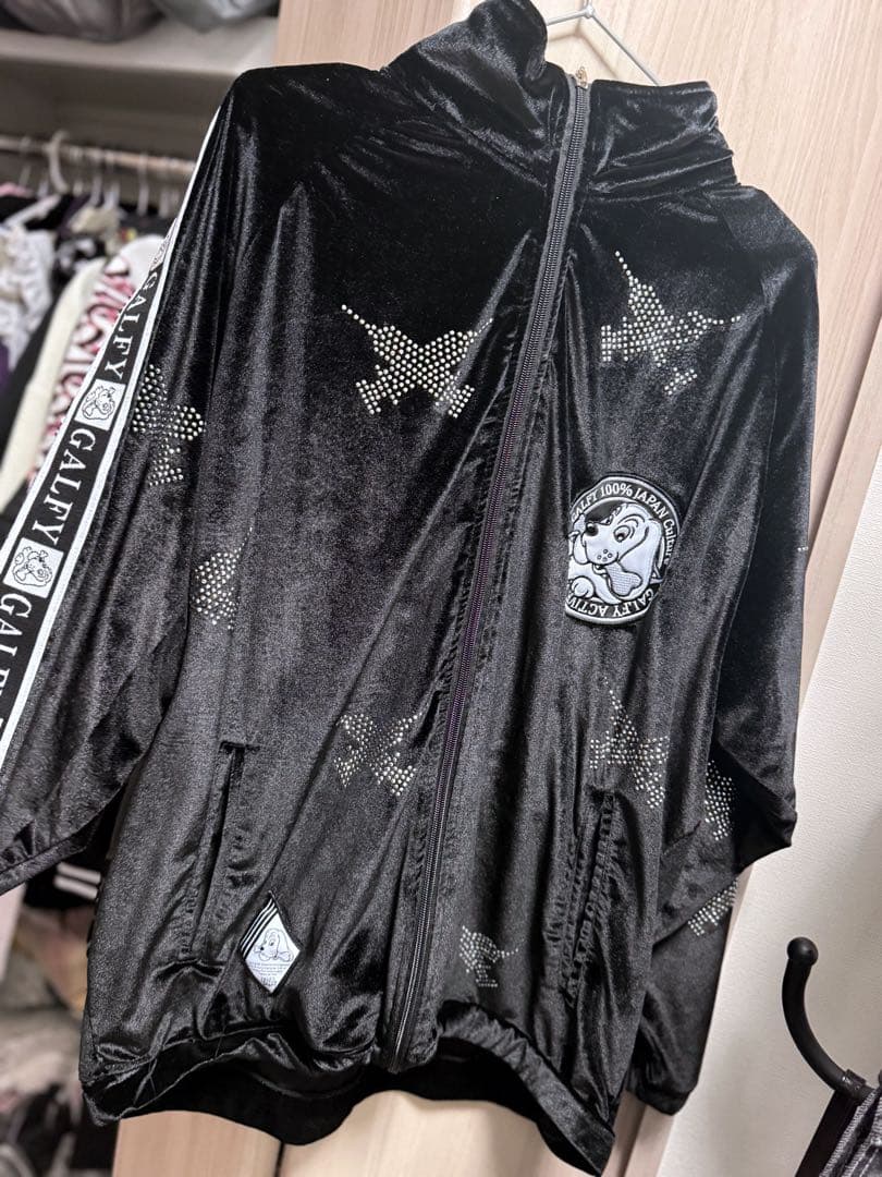 ガルフィー セットアップ ピカピカ注射器 ブラック