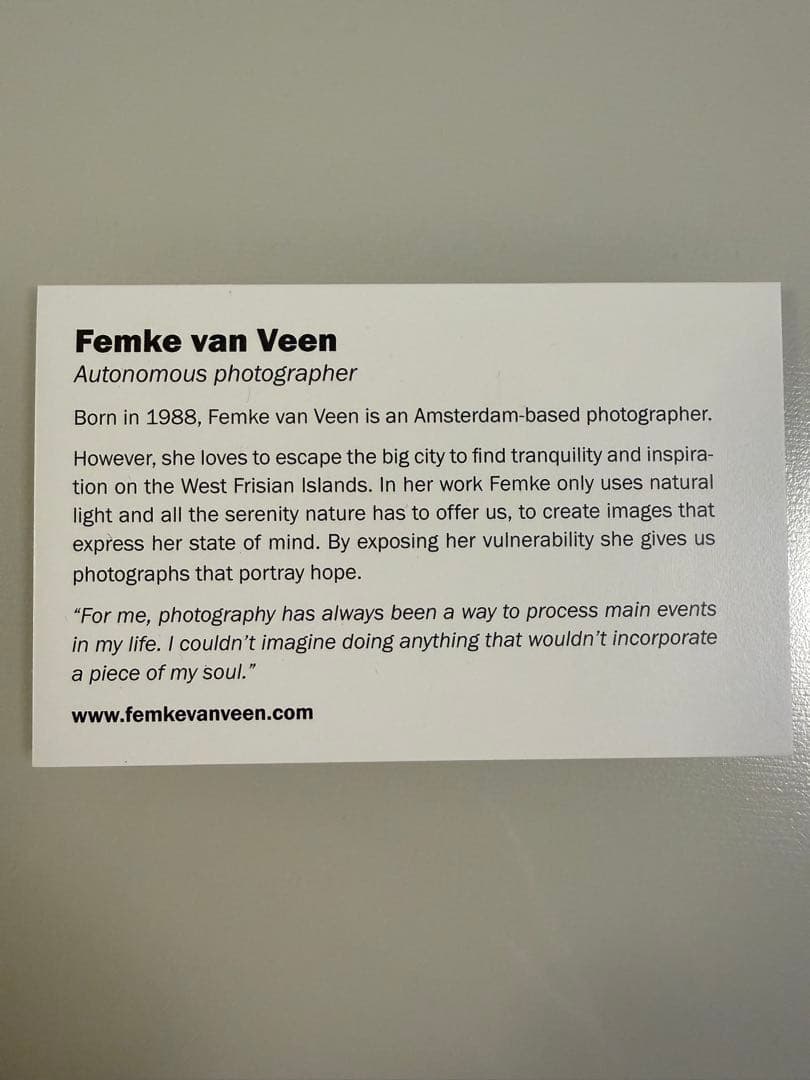 BoConcept（ボーコンセプト） メタルプリントアート“Escapism”