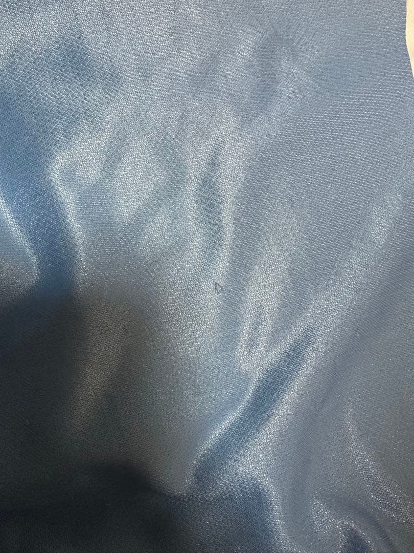 正規品 00/01 アルゼンチン代表 リーボック オルテガ　Lサイズ