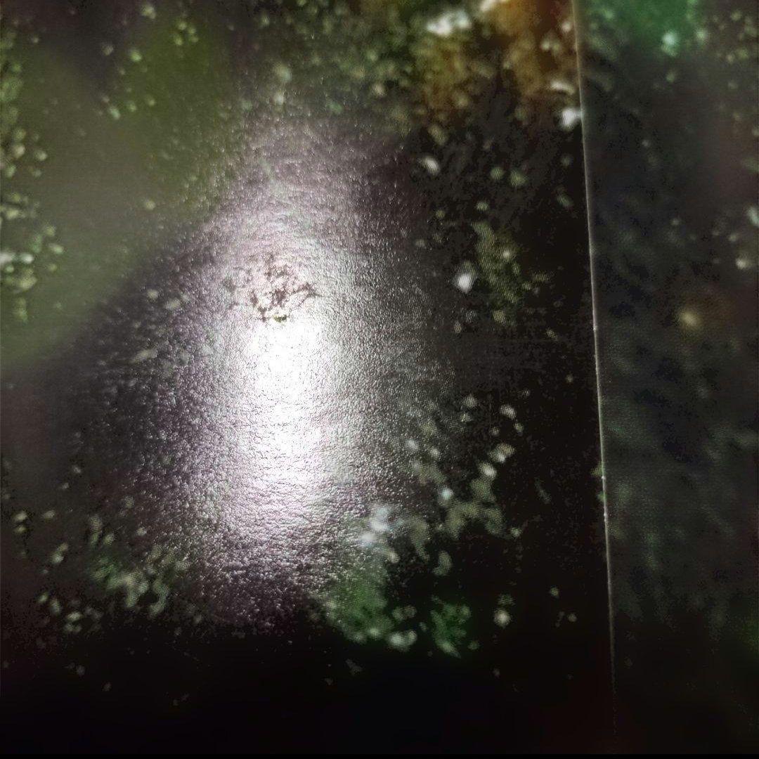 「蟲師」二十景〜蟲襖〜(むしあお) 漆原友紀画集