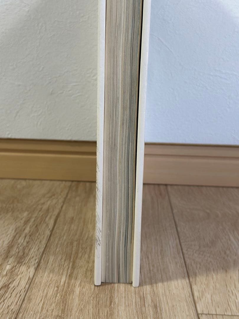 フランス語洋書　HARTUNG【アンス・アルトゥング画集】 1967