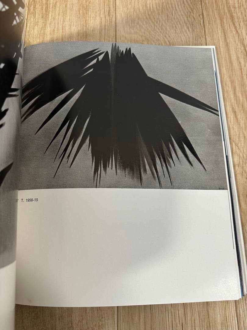 フランス語洋書　HARTUNG【アンス・アルトゥング画集】 1967