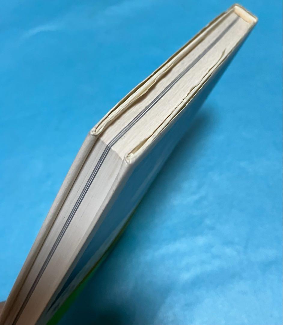 宮本浩次 東京の空 初版 エレファントカシマシ エレカシ