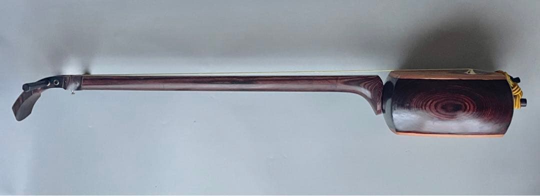 レア楽器　「サバミセン」　エレクトリック対応、撥・ハードケース付き