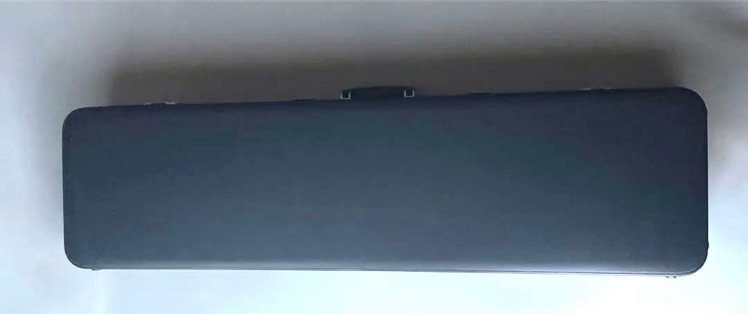 レア楽器　「サバミセン」　エレクトリック対応、撥・ハードケース付き