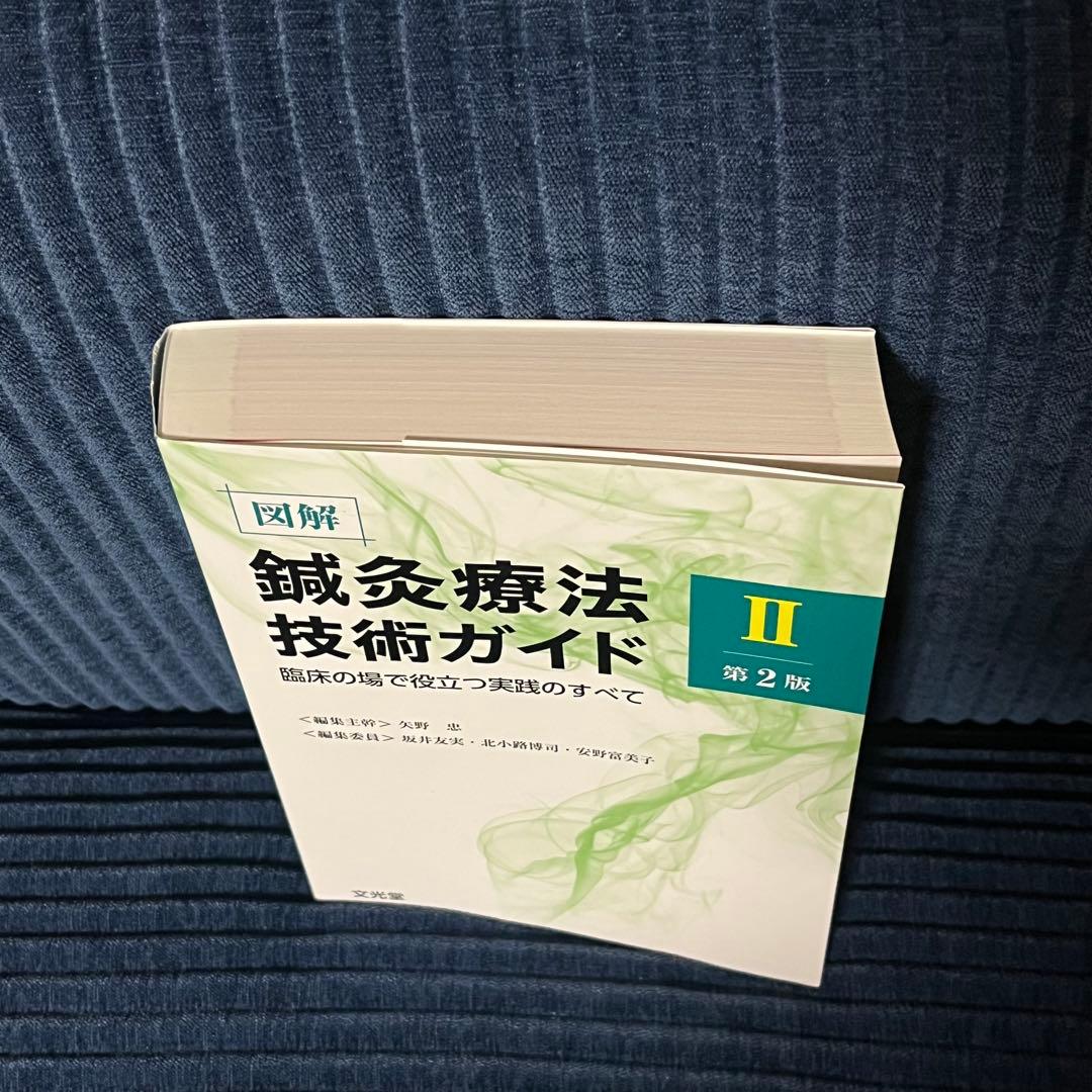 【セット売り】図解鍼灸療法技術ガイド : 臨床の場で役立つ実践のすべて. 1 2