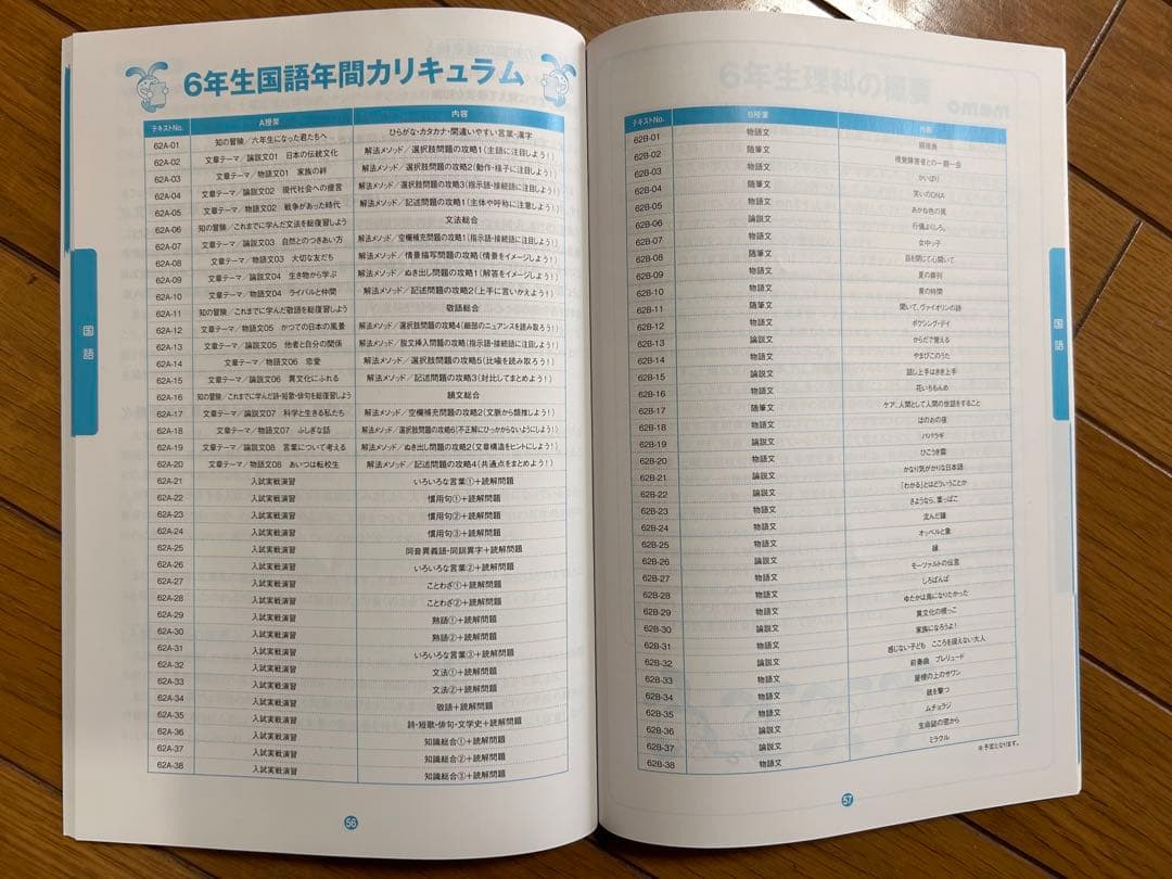 2024年度　SAPIX 6年 最新版 全部セット