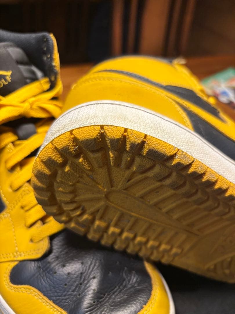 の*り様 AIR JORDAN 1 HIGH G ゴルフシューズ　パラン