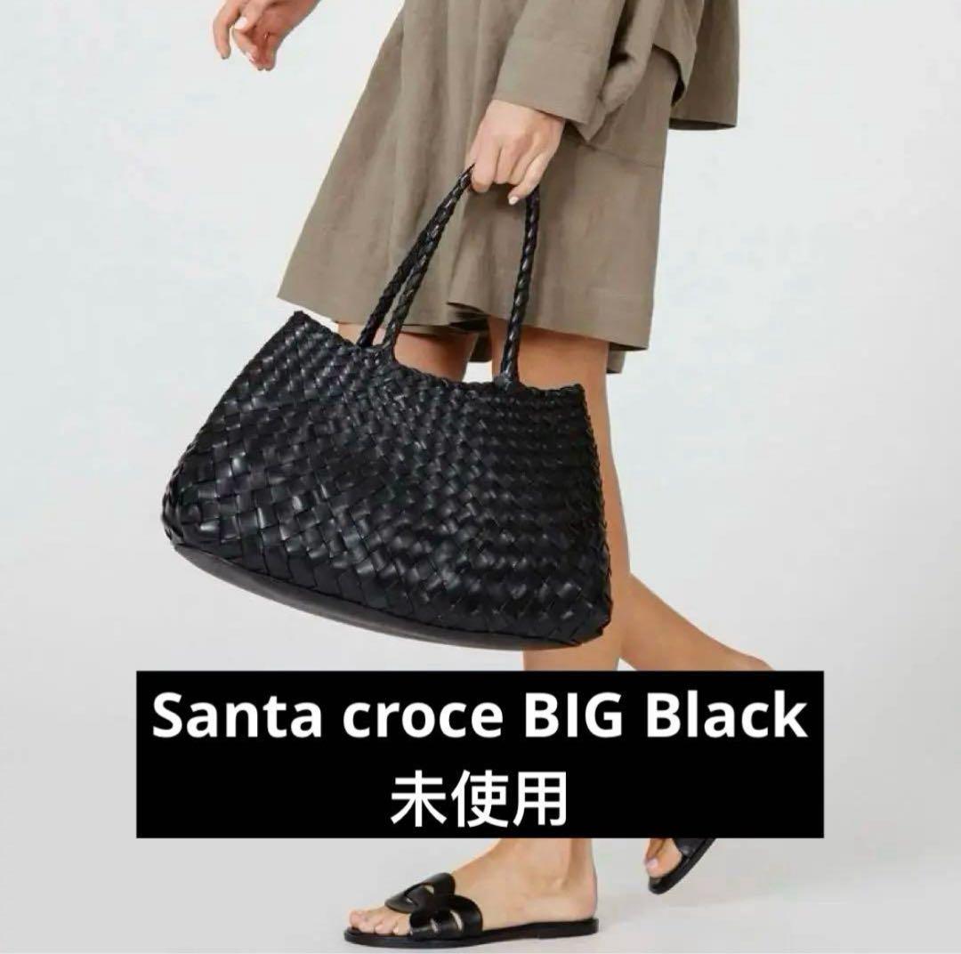 【未使用品】Big ドラゴン黒 カゴバッグ dragon diffusion